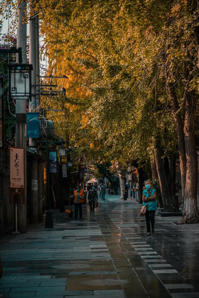 成都摄像服务：光影中的城市记忆